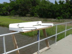 Gasgoigne Bluff fishing pier Gasgoigne Bluff fishing pier